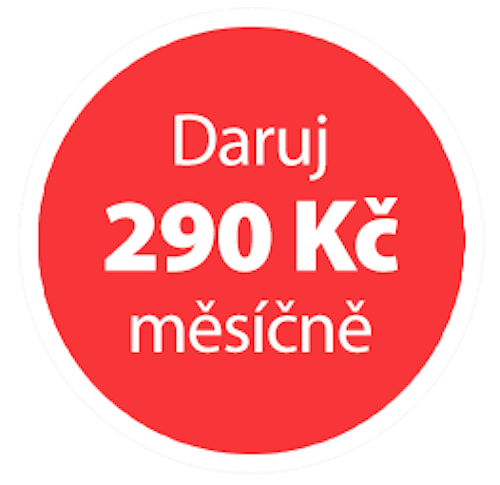 Daruj 290 Kč měsíčně