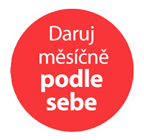 Daruj měsíčně podle sebe
