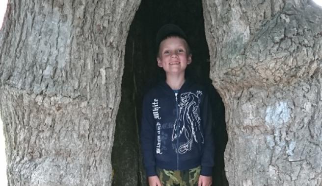 Matyáškovi na letní tábor plný dobrodružství