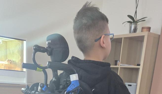 Sebíkovi pomůže pobyt s odbornou péčí 